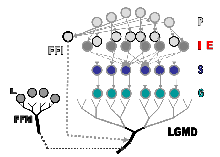 ieee neural networks paper 2006